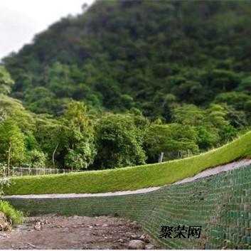 貴州修文 垂直綠化鋼塑土工格柵 植物攀爬網(wǎng) 綠色土工格柵