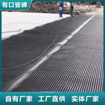 郴州及周邊地區(qū)鋼塑土工格柵應用與發(fā)展現(xiàn)狀（2025年8月更新）