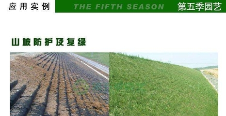 喀什鋼塑格柵工廠與山東土工材料基地 鋼塑土工格柵產(chǎn)業(yè)的地理紐帶