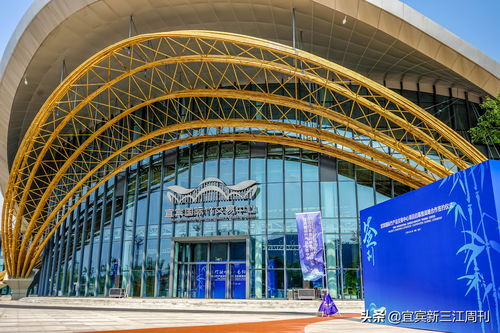 5月1日投用 四川宜賓國際竹產品交易中心項目盛大啟幕